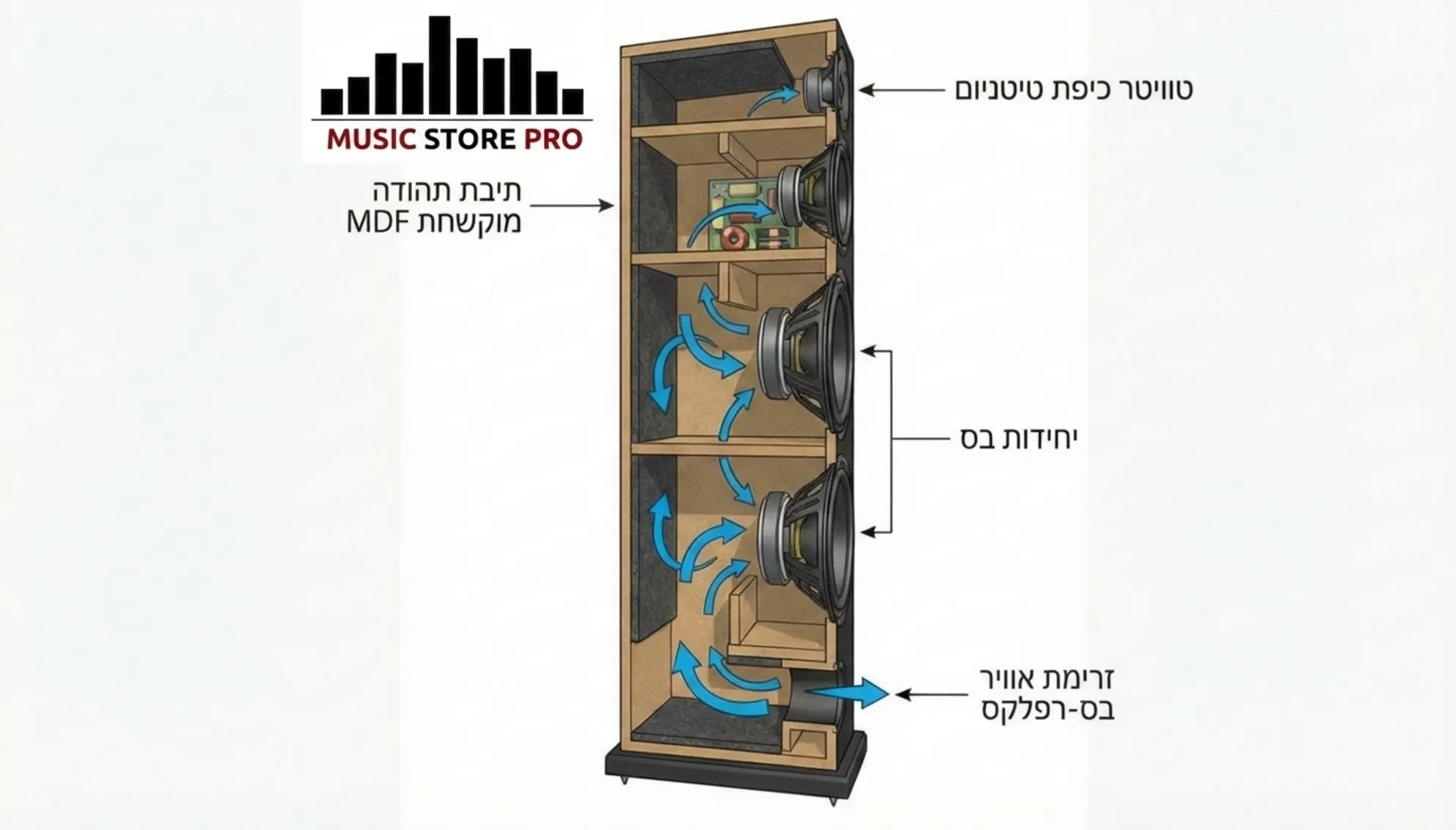 אינפוגרפיקה מפורטת המציגה חתך פנימי של רמקול רצפתי, המדגישה את תיבת התהודה מוקשחת הMDF, יחידת הטוויטר ואת יחידות הבס עם פירוט זרימת האוויר