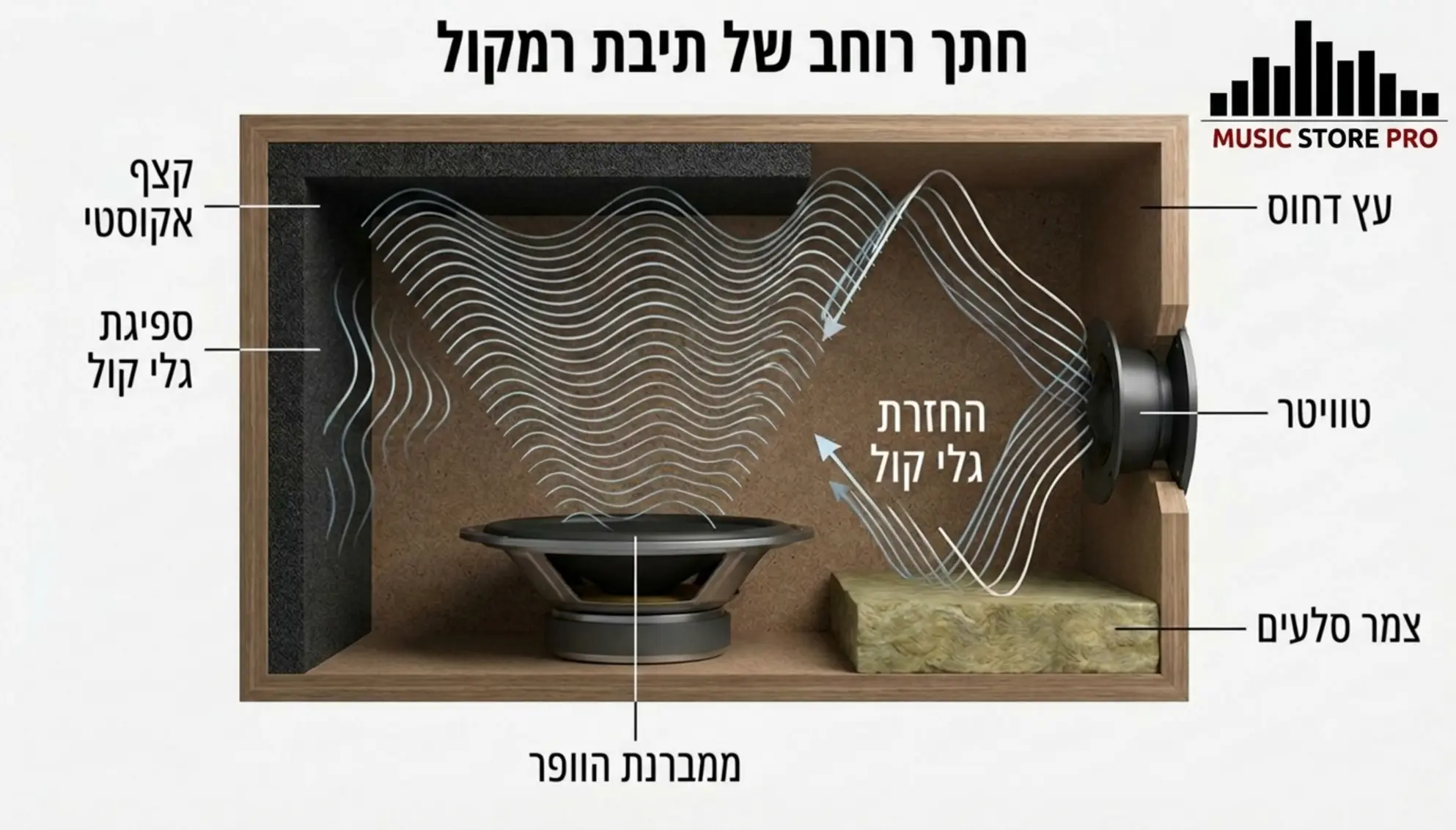 אינפוגרפיקה מקצועית המציגה חתך רוחב של תיבת רמקול, מדגימה את גלי הקול בתוך התיבה ומראה כיצד חומרי גלם שונים סופגים או מחזירים את התהודה