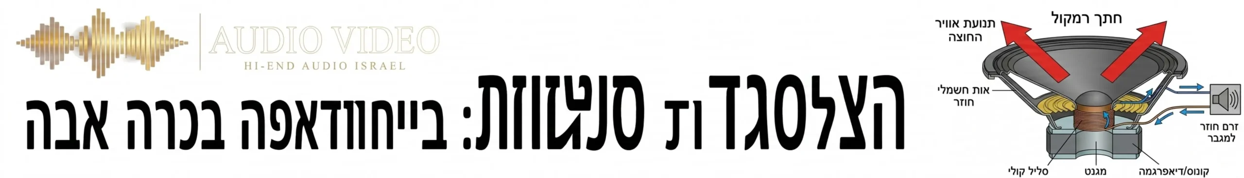 אינפוגרפיקה המציגה חתך של רמקול עם סליל ומגנט, הכוללת חיצים ברורים הממחישים את תנועת האוויר החוצה ואת האות החשמלי החוזר מהרמקול בחזרה אל המגבר כדי להדגים את תופעת הזרם החוזר.