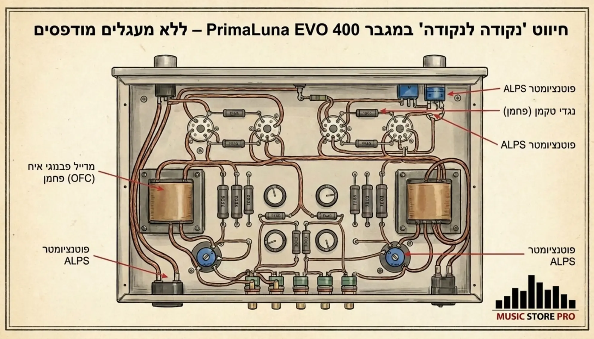אינפוגרפיקה המציגה את החיווט הפנימי של מגבר פרימה לונה נקודה לנקודה ללא מעגלים מודפסים עם הדגשת רכיבי טקמן ואלפס כבלים עבים מנחושת נטולת חמצן