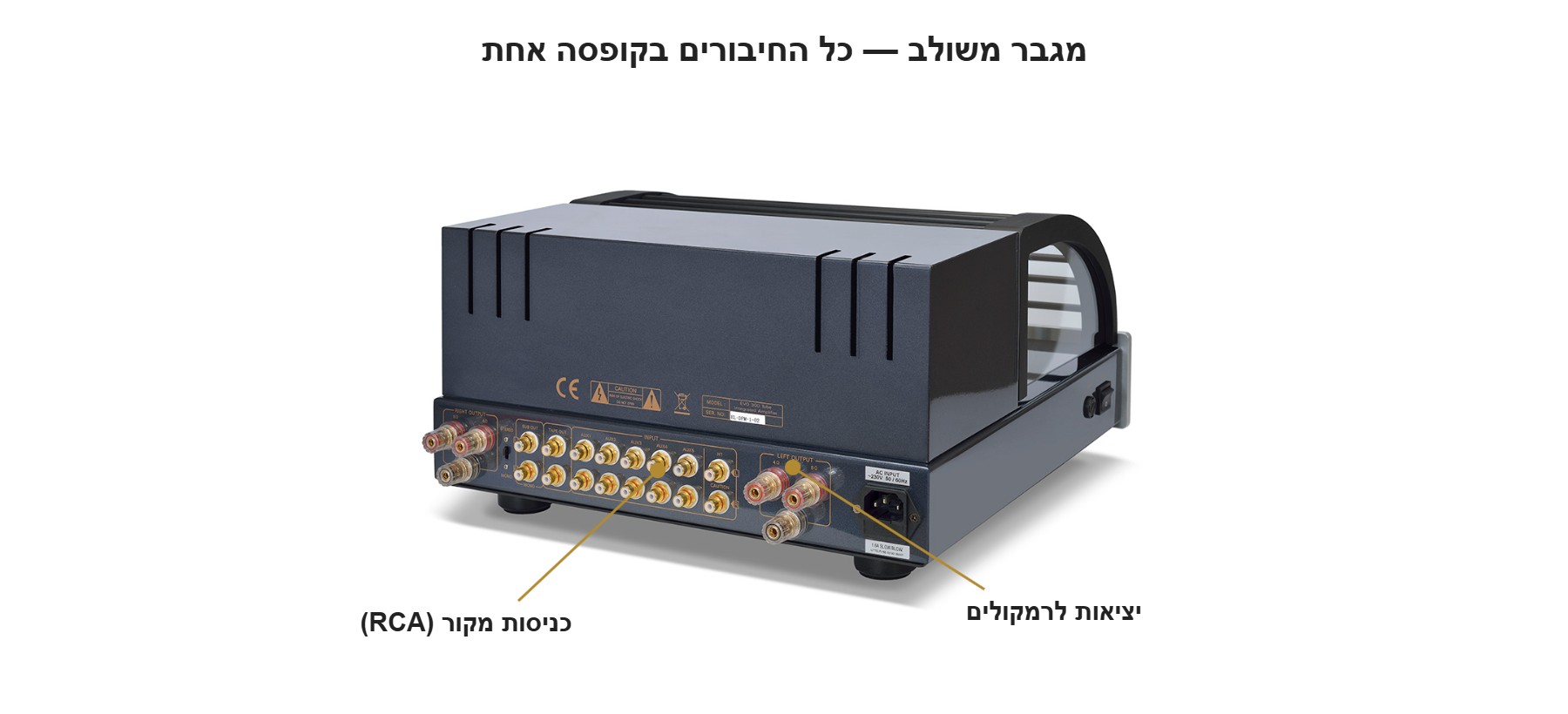 הפאנל האחורי של מגבר משולב PrimaLuna EVO 300 — כניסות מקור ויציאות לרמקולים בקופסה אחת