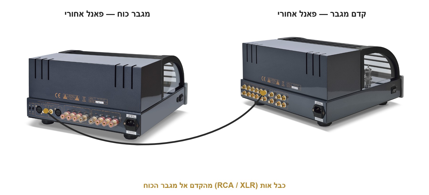 הפאנלים האחוריים של קדם מגבר ומגבר הספק PrimaLuna EVO 300 עם כבל אות המחבר ביניהם