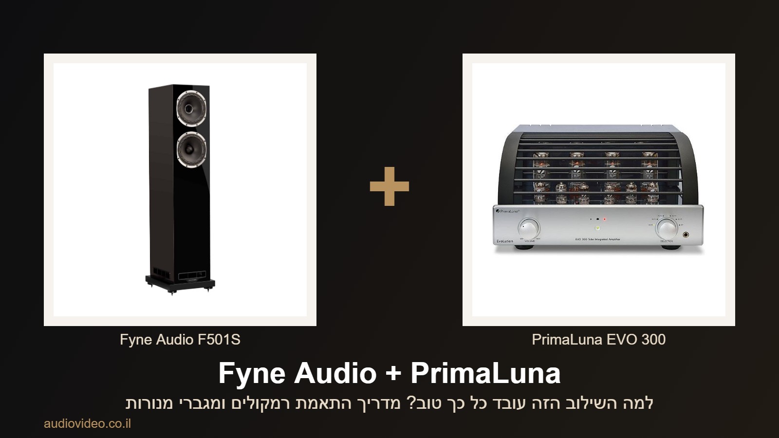 Fyne Audio + PrimaLuna — למה השילוב הזה עובד כל כך טוב? 1 Fyne Audio + PrimaLuna — למה השילוב הזה עובד כל כך טוב?