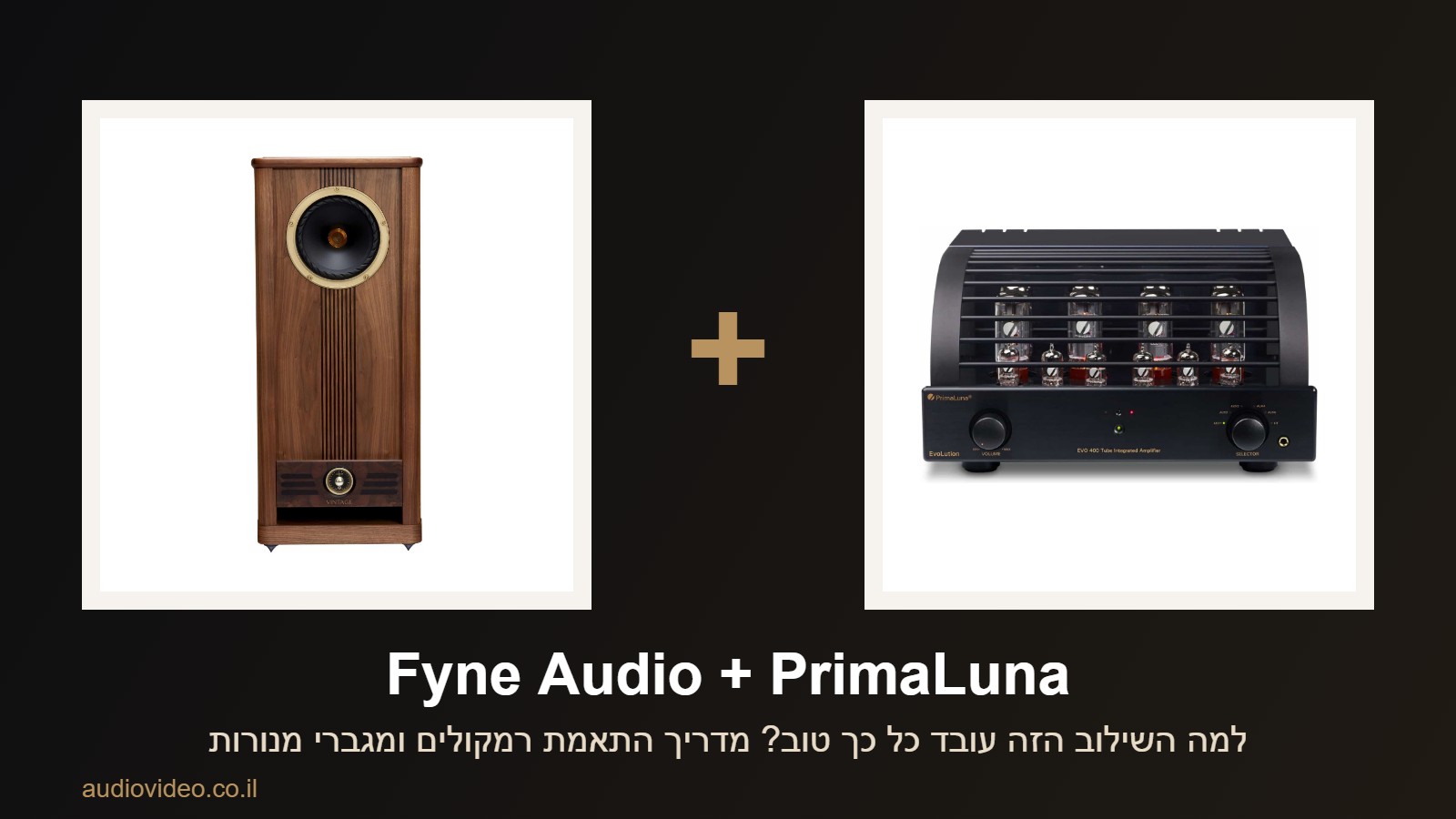 Fyne Audio + PrimaLuna — למה השילוב הזה עובד כל כך טוב?